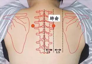 肺俞穴