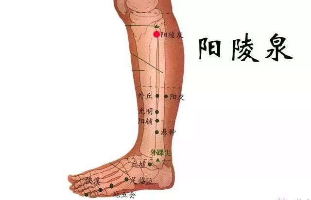 阳陵泉