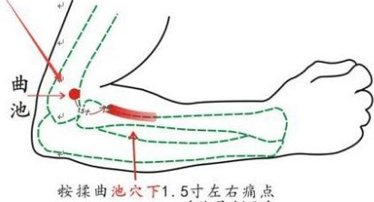 曲池穴
