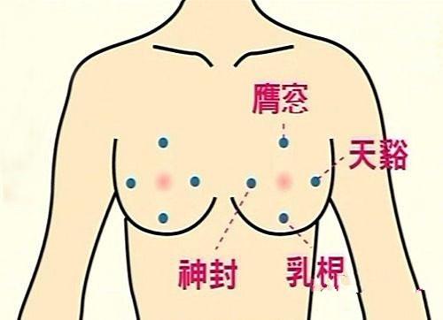 艾灸哪个穴位丰胸