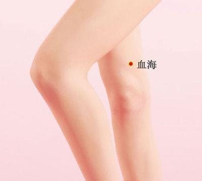 血海属