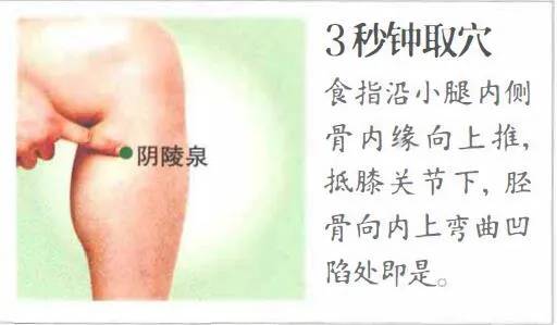 阴陵泉穴
