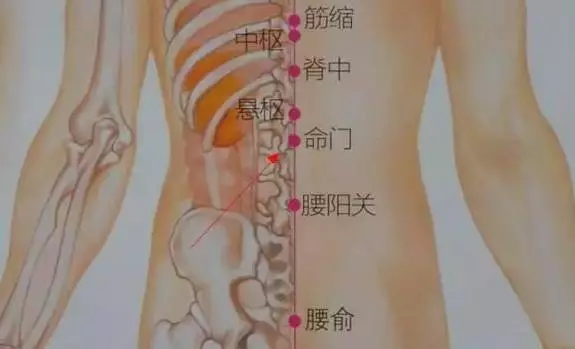 腰阳关