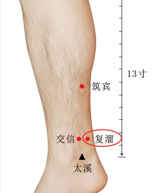 复溜
