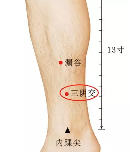 三阴交