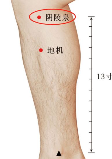 阴陵泉
