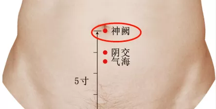 神阙穴 