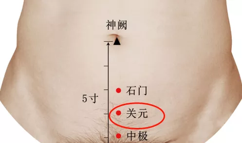 关元穴