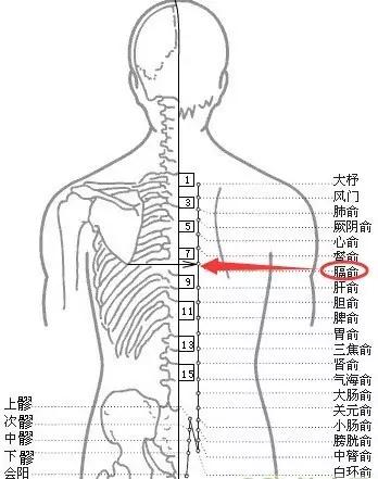 膈俞