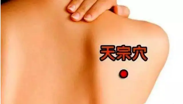 天宗穴
