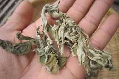夏天这么热,艾灸真的好吗?有疑惑赶紧看看