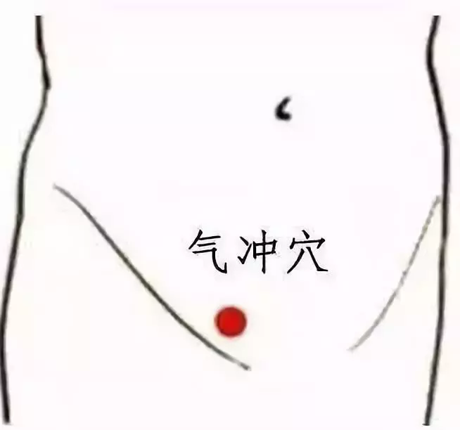 气冲穴