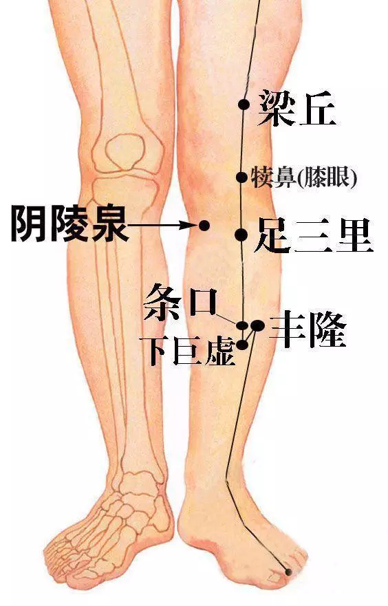 阳陵泉
