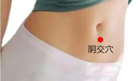 阴交穴