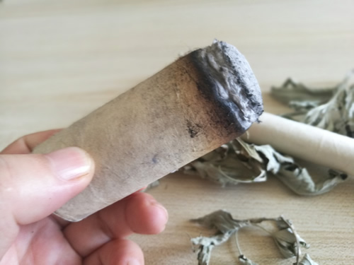 血虚肾虚要补气血,艾灸强肾气!
