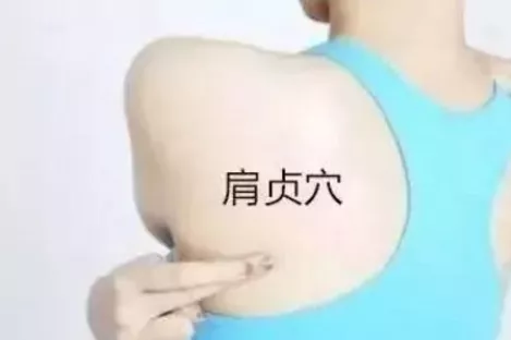 肩贞穴