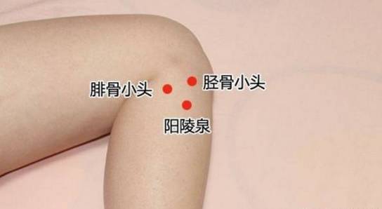 阳陵泉