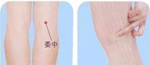 委中