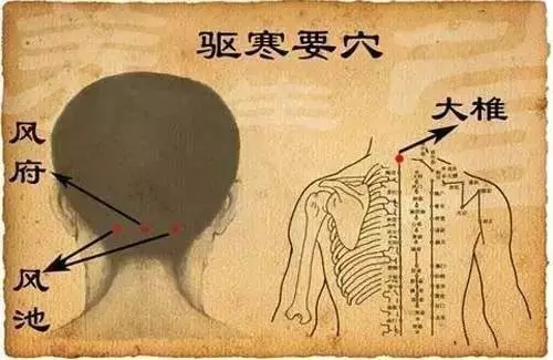 风池、大椎