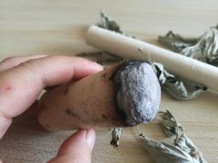 灸通眉心百病不侵!鼻炎头晕目痛干痒都可解决