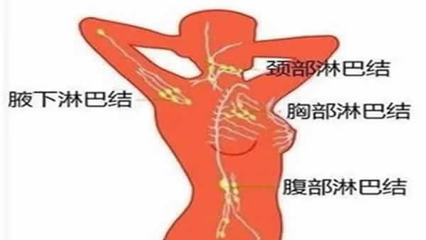 调理结节还得从肝入手,艾灸可疏通淋巴结节!