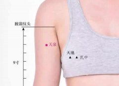 心包经上的天泉穴,这个时代的所有人的福穴!