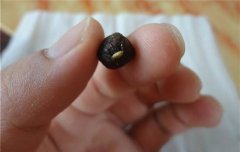 桂圆花椒艾绒脐贴禁忌及作用功效