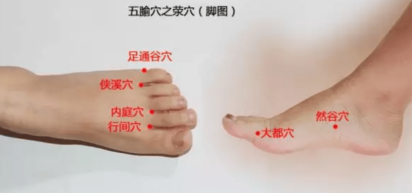荥穴