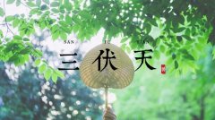 祛寒补虚借天力，冬病夏治三伏灸