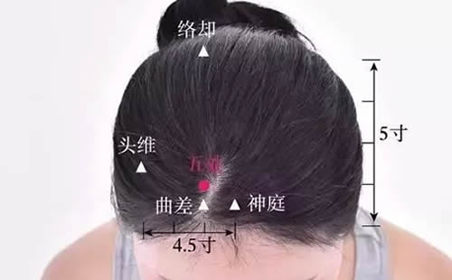 五处穴的准确穴位图及作用