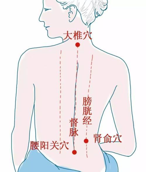 膀胱经穴位图