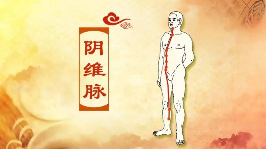 阴维脉经络循行图及穴位