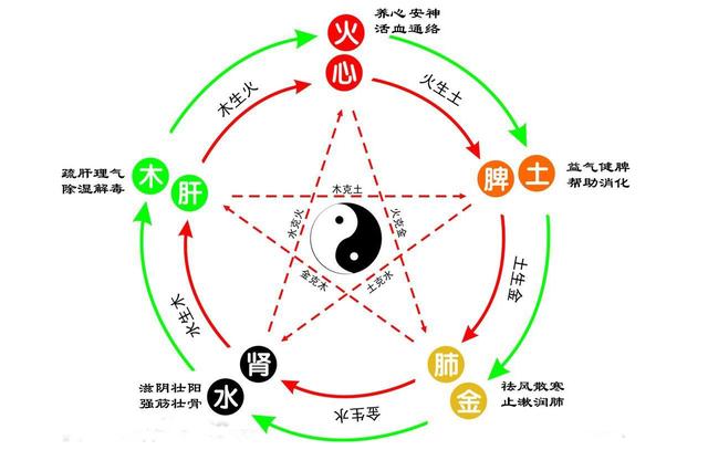 五行对五脏