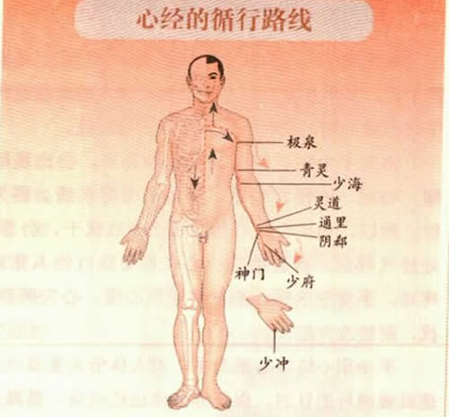 手少阴心经循行图及穴位
