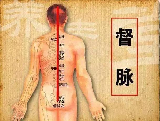 督脉穴位