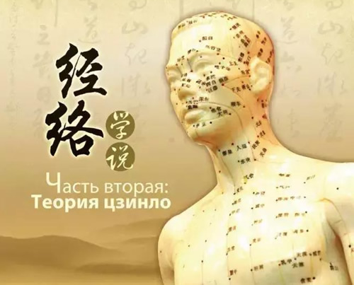十二经络走向图及功效
