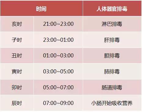 五脏六腑排毒时间,器官排毒时间表