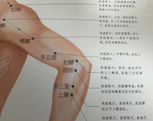 上肢穴位