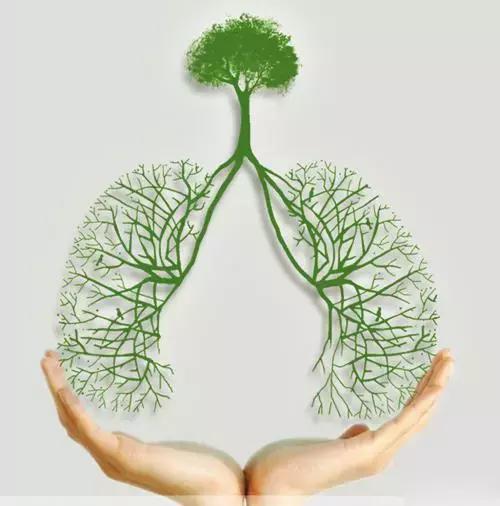 养肺先养气,灸这几个穴位精力足少生病!