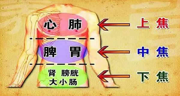 三焦经的作用