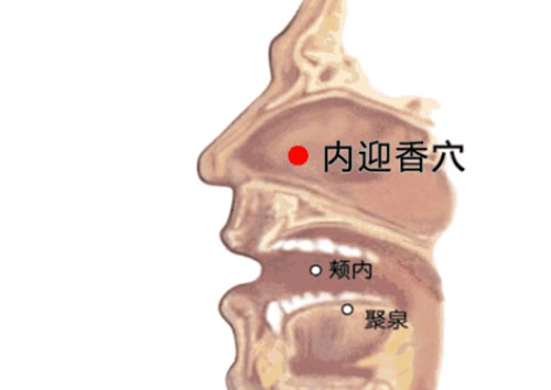 内印香穴位准确位置图