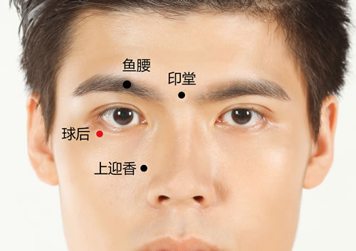 球后穴位准确位置图