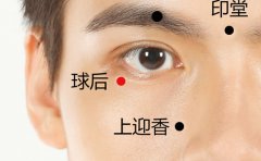球后穴准确穴位图和作用