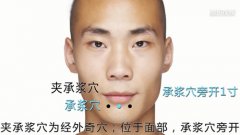 夹承浆穴的准确穴位图和作用