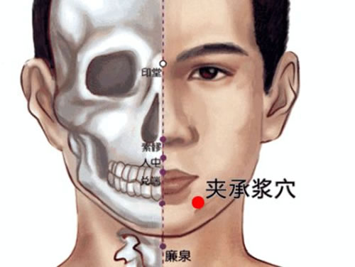 夹承浆穴位准确位置图