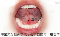 海泉穴的准确穴位图和功效