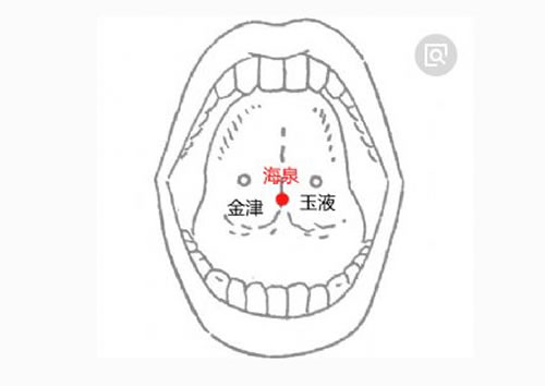 海泉穴位准确位置图