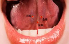 金津穴的准确穴位图和功效作用