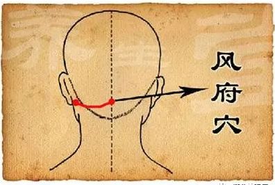 风府穴