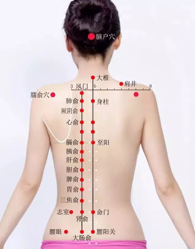 脑户穴在哪